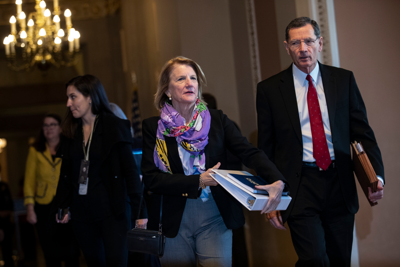 Illustration for article titled Your Least Favorite Senators Wore Some Ugly Fashions on the Impeachment Catwalk